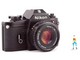 ../photcol/pdfr/B1/40.gif