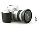 ../photcol/pdfr/P40/2542.gif