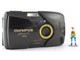 ../photcol/pdfr/P32/2374.gif