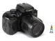 ../photcol/pdfr/S01/3383.gif