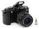 ../photcol/pdfr/P40/2507.gif
