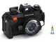 ../photcol/pdfr/M15/1081.gif