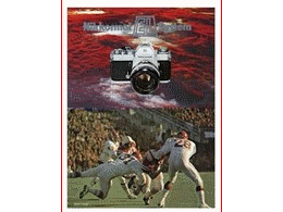 ../photcol/pdfr/B1/239.gif