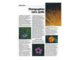 ../photcol/pdfr/M13/613.gif