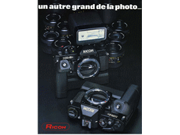 ../photcol/pdfr/P29/1956.gif