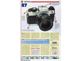 ../photcol/pdfr/P40/2531.gif