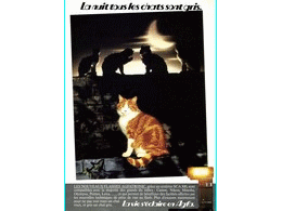 ../photcol/pdfr/P53/2924.gif